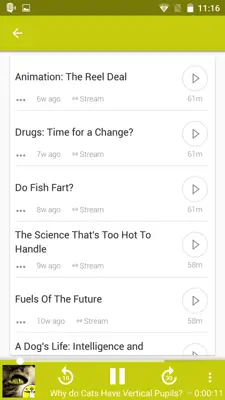 Podcast Player android App screenshot 2